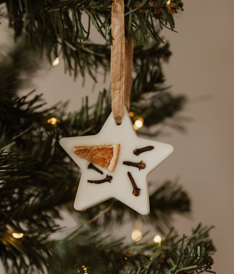 Cranberry & Clementine — Scented Christmas Tree Decoration