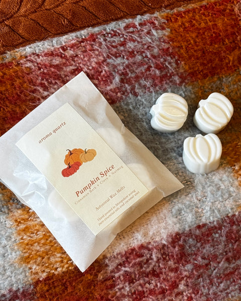 Pumpkin Spice Wax Melts + Burner